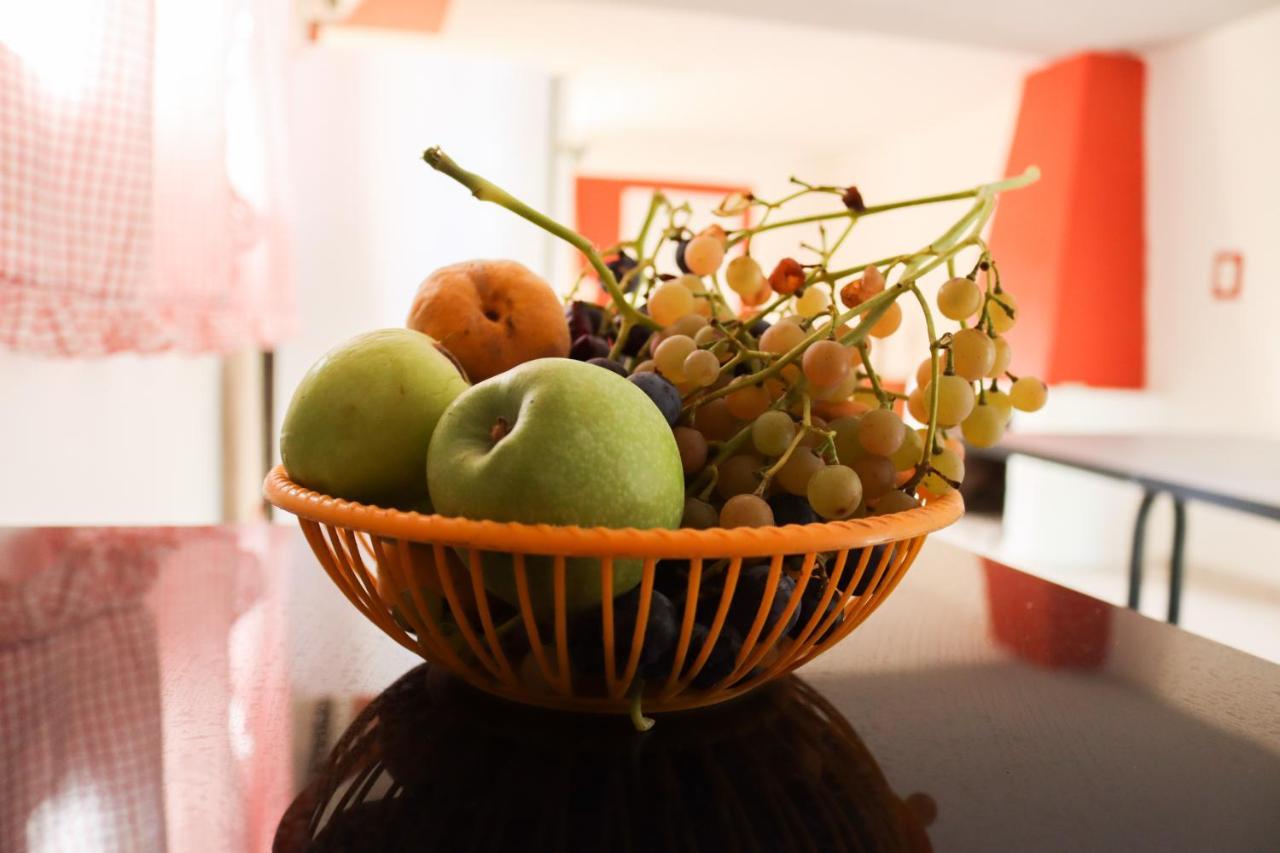 Holiday home Casa El Roble San Rafael (Mendoza)