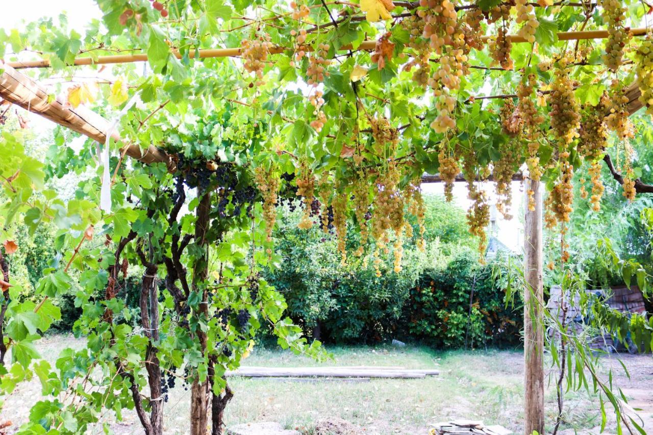 Holiday home Casa El Roble *